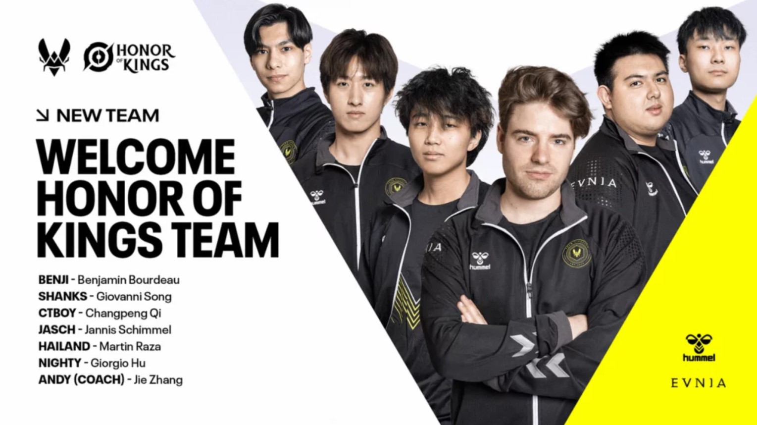 Vitality signed a team for Honor of Kings and joined the partnership program
